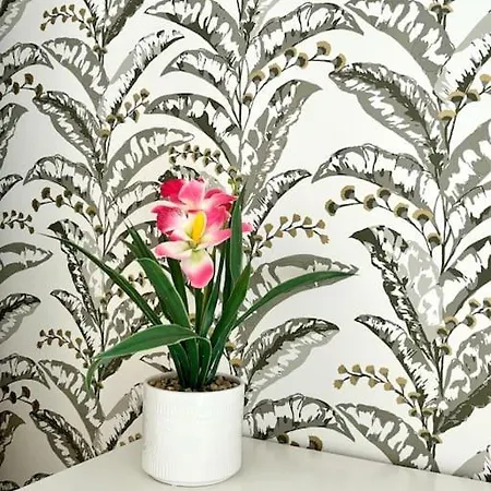 דירה House רומא